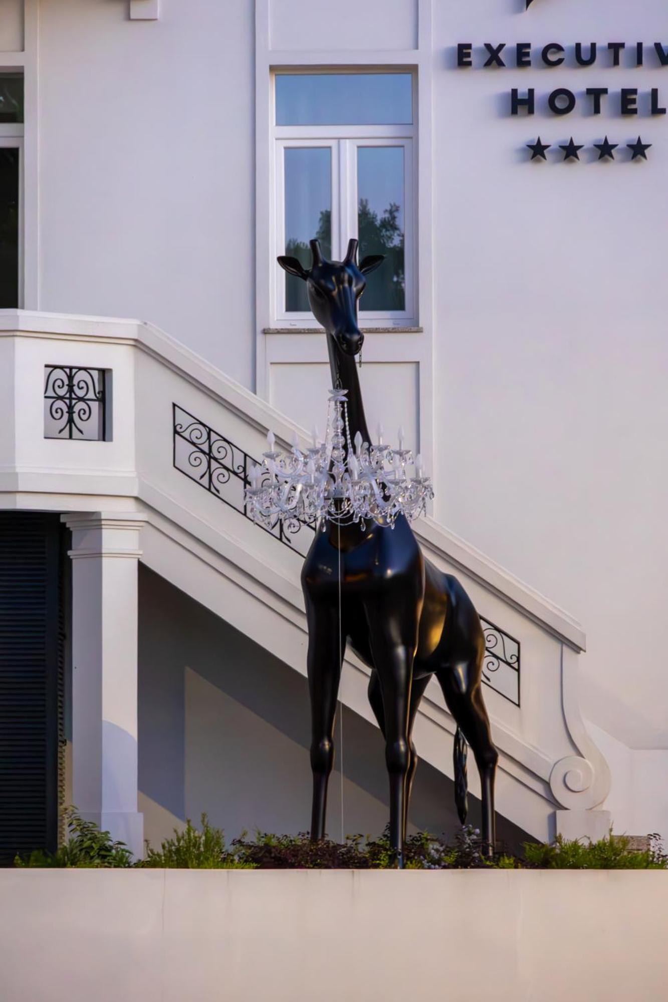Executive 4* Viseu